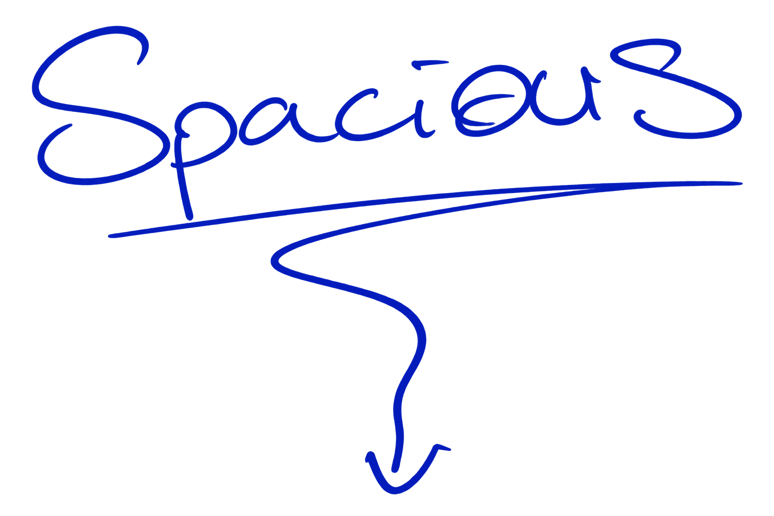 Spacious — handwritten in blue ink, underlined, with a loose line descending into the empty page